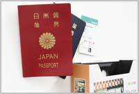 �C�O���C���̎Ԕ��p