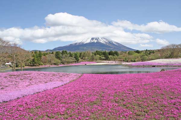 栖湖 リゾート 本